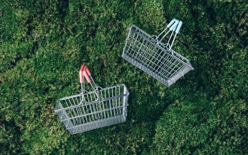 Grocery baskets in the grass.